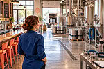 brewery startup guide